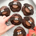 halloween brownie cookie- Halloween Brownie Cookie Cookies, Desserts, Halloween halloween brownie cookie Baking Powder |Butter |Candy Eyes |Chocolate Chips |Dark Brown Sugar