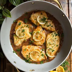 chicken francese- Chicken Francese Chicken, Dinner, Skillet chicken francese All-Purpose Flour |Black Pepper |Butter |Chicken Stock |Dry White Wine
