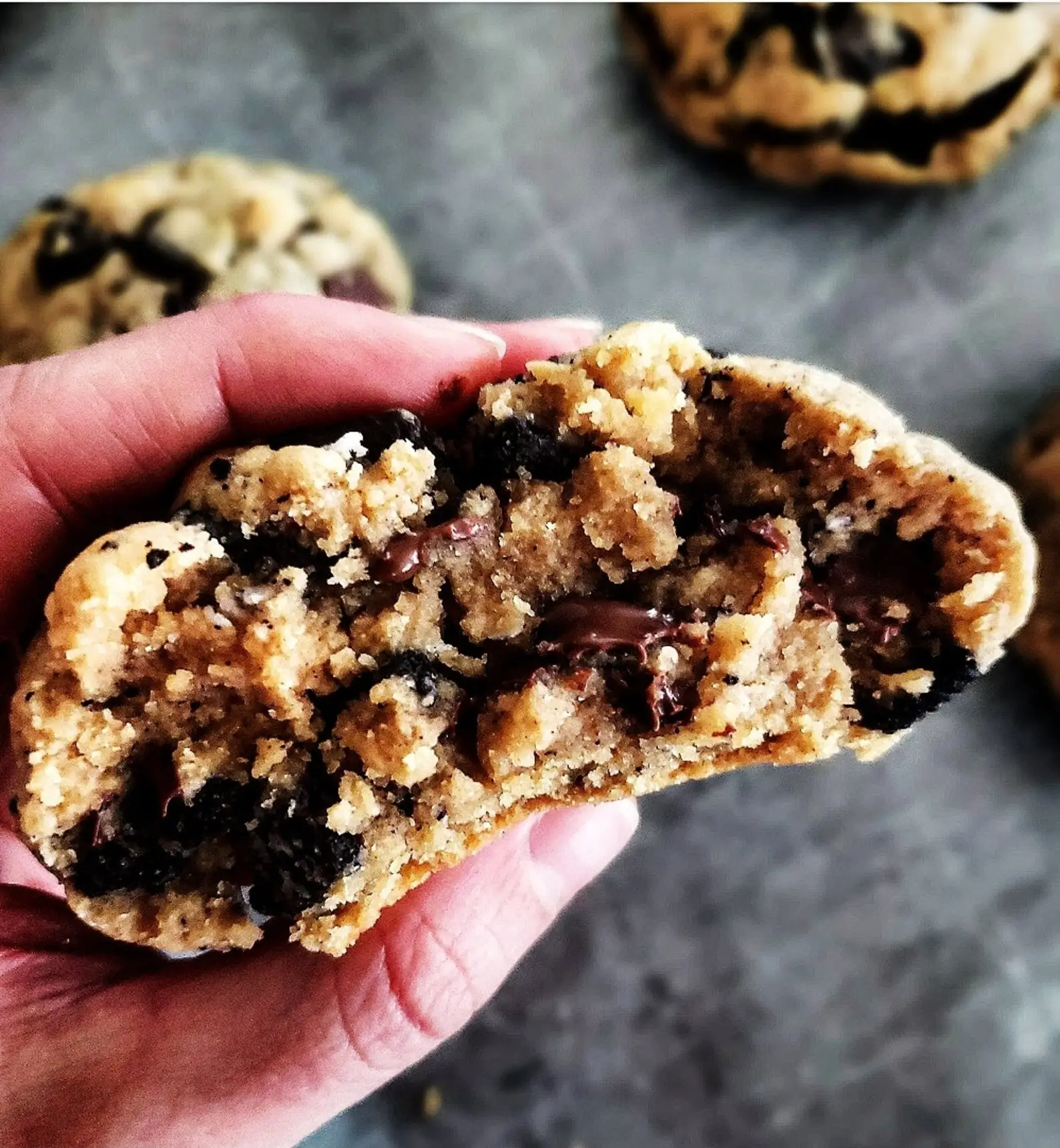 oreo peanut butter chocolate chip cookies delivery- Chocolate Chip Peanut Butter Oreo Mammoth Cookies oreo peanut butter chocolate chip cookies delivery