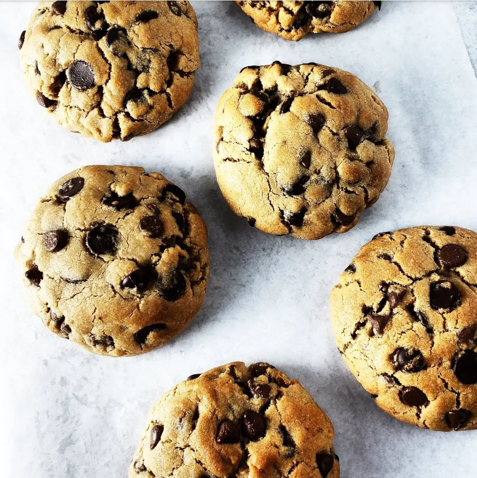 gourmet chewy chocolate chip cookies delivery nationwide- Gourmet Chewy Chocolate Chip Cookies thick bakery style chocolate chip cookies fresh baked