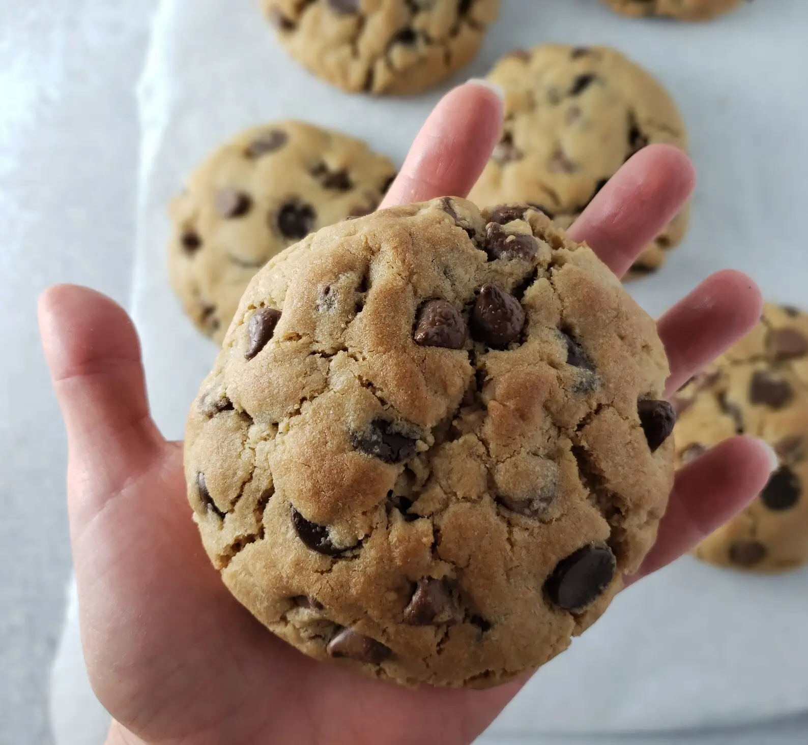 gourmet chewy chocolate chip cookies delivery nationwide- Gourmet Chewy Chocolate Chip Cookies gluten free gourmet chocolate chip cookies soft baked