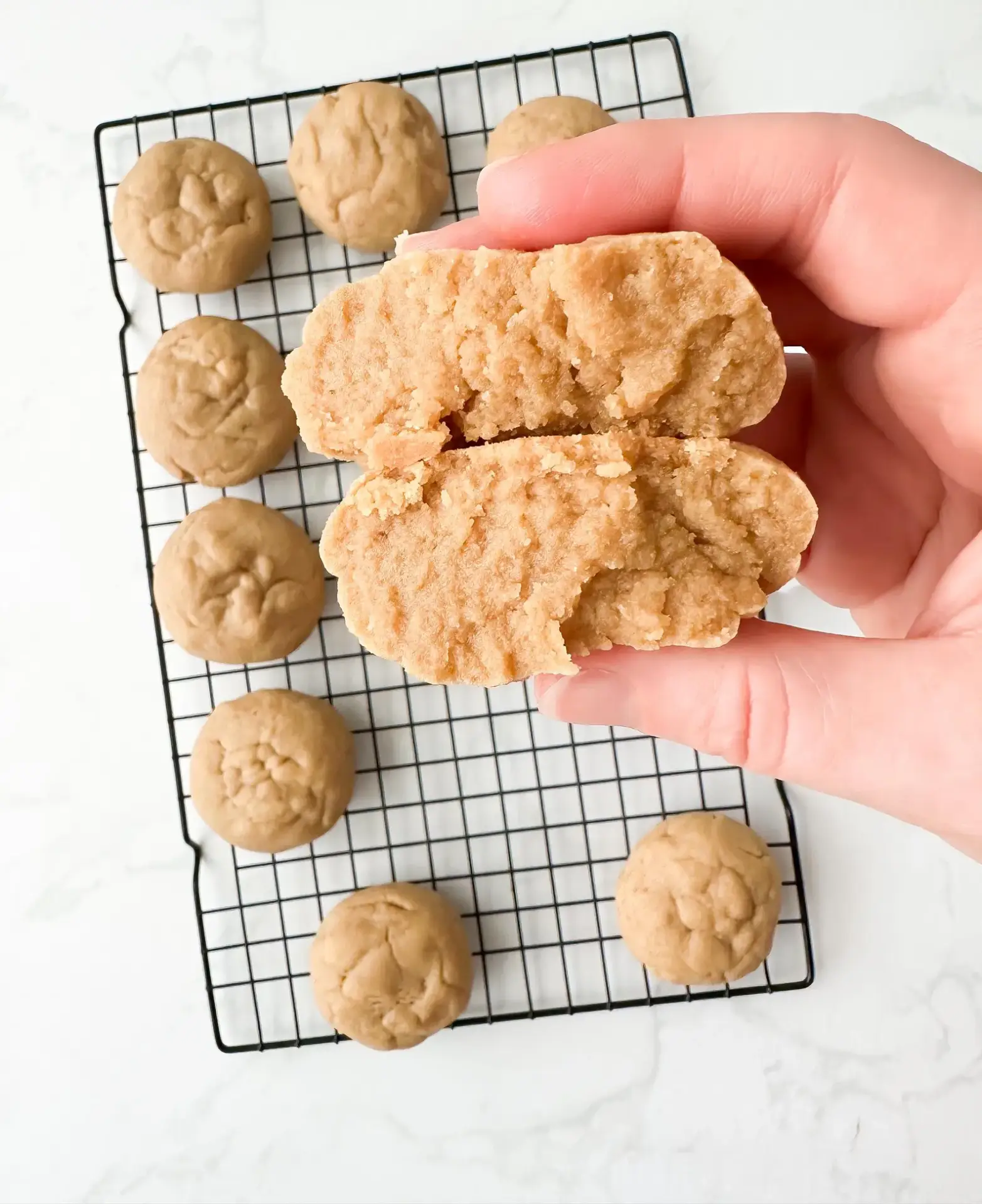 peanut butter cookies delivery- Peanut Butter Cookie peanut butter cookies delivery fresh baked