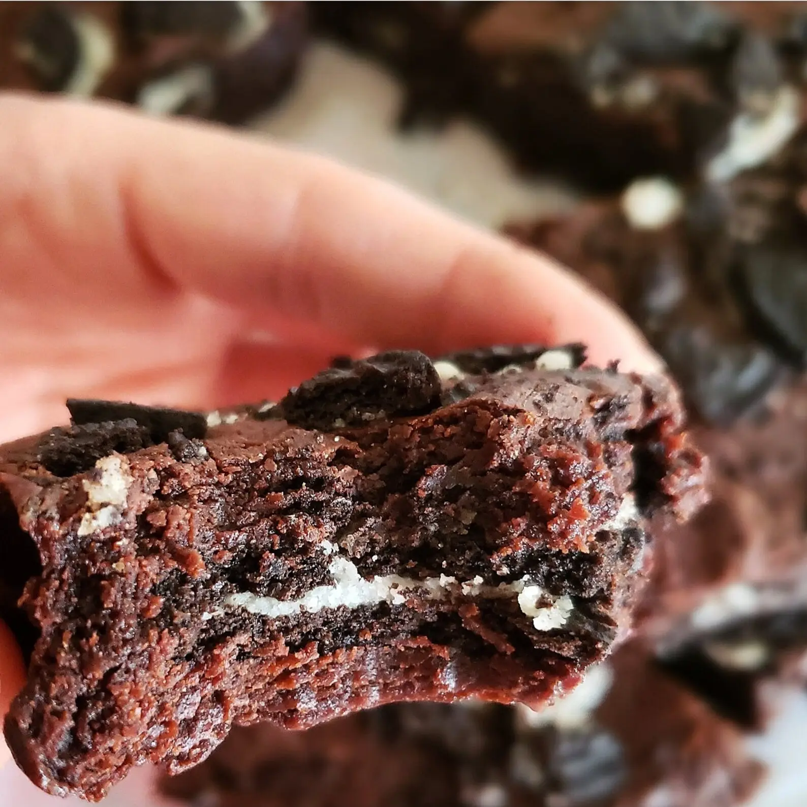 premium brownie kit mix delivery nationwide- Premium Brownie Kit Mix gluten free brownie mix kit easy baking