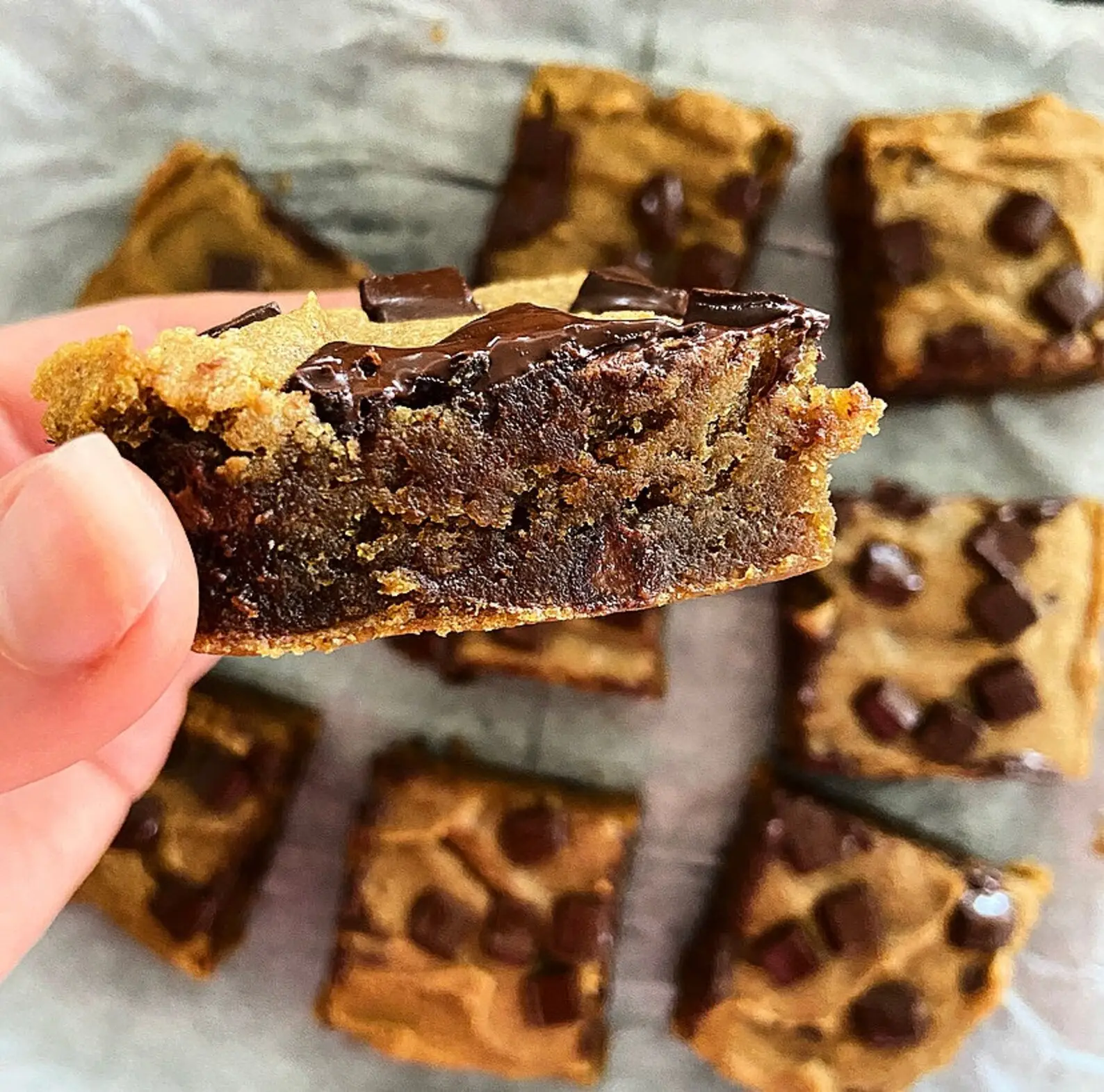 pumpkin chocolate chip bars delivery nationwide- Pumpkin Chocolate Chip Bars chewy pumpkin spice bars chocolate chip gluten free