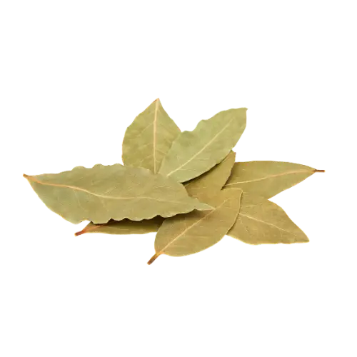 bay leaves