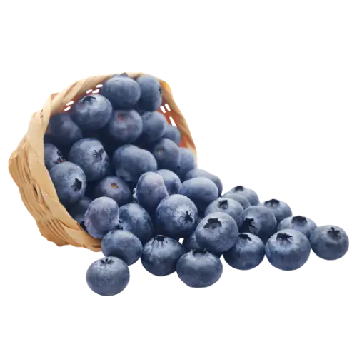 Blueberry recipes for muffins, pancakes, scones, and high-protein breakfast bakes. Featuring high protein blueberry muffins and cranberry blueberry sauce