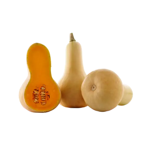 butternut squash