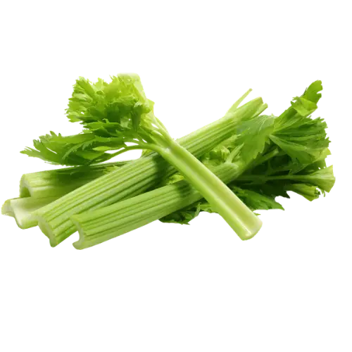 Celery recipes for soups, mirepoix, chicken salad, and stock-base cooking. Featuring chicken soup, chicken tortilla soup, and ground beef vegetable soup