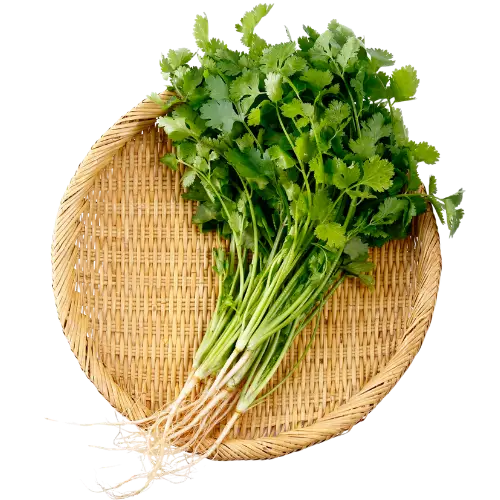 Coriander recipes for curries, spice rubs, shawarma, and Indian-style cooking. Featuring chicken shawarma bowls, one pot eggplant curry, and vegan cauliflower curry
