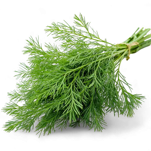 dill