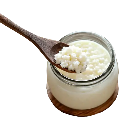 Kefir recipes for gut-friendly baking and dressings , featuring chocolate chip muffins, the best sweet potato cornbread, and simple cheese scones