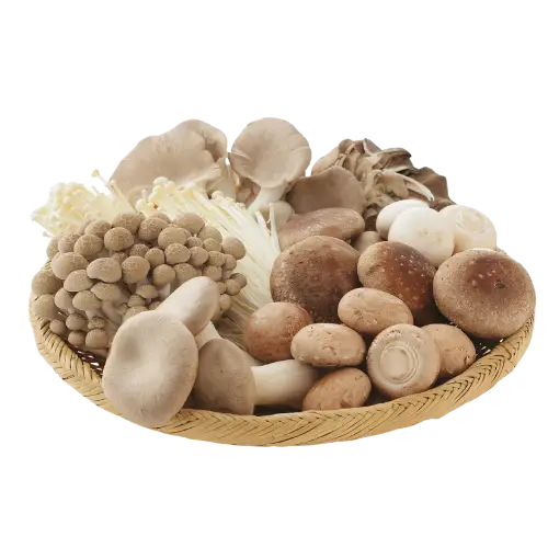 Mushroom recipes for casseroles, hearty soups, and savory comfort food, featuring ground beef and tater tot casserole, breakfast casserole, and chicken cordon bleu casserole